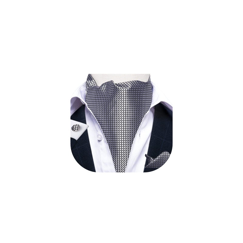 DiBanGu Silver Ascot Ties for Men Cravat Tie and Pocket Square Set Jacquard Silk Ascot Paisley Cravat for Men - Image 1